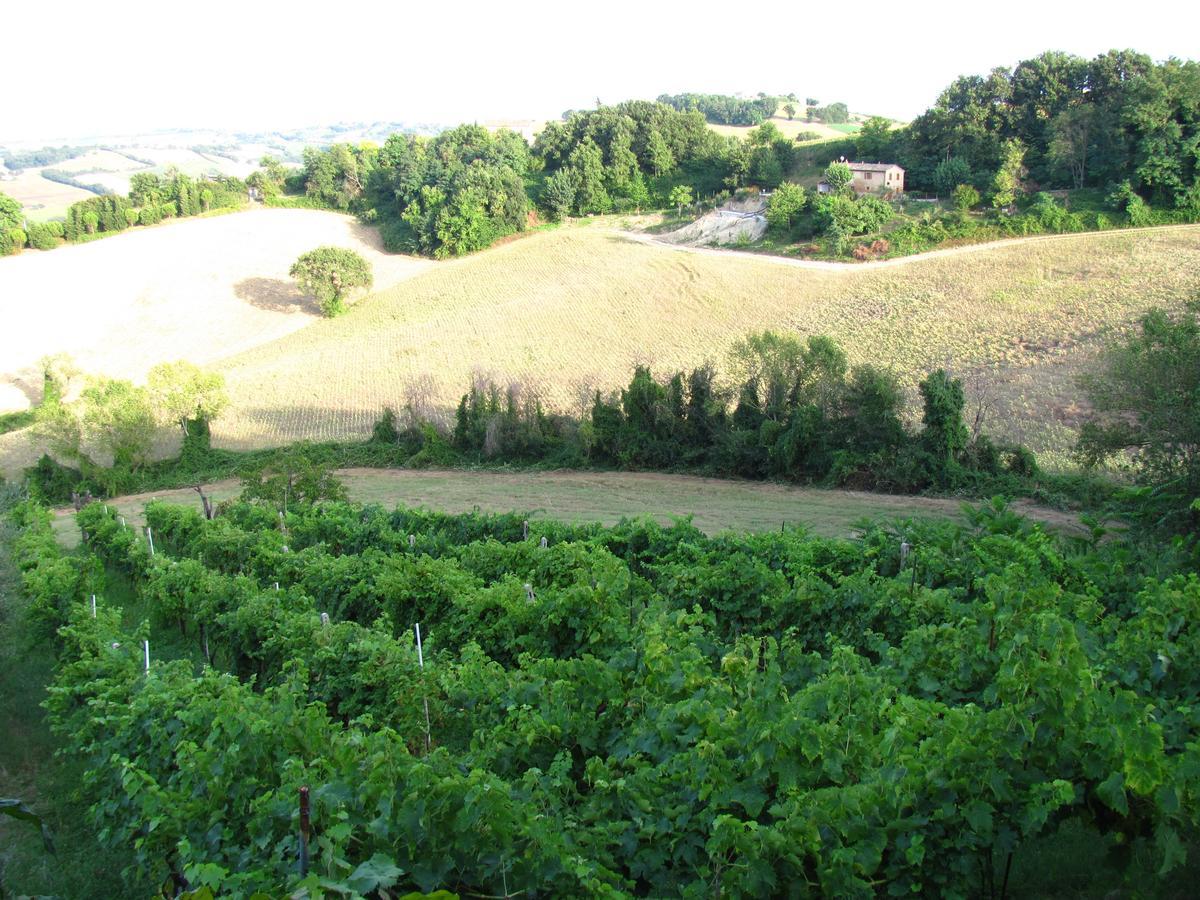 לינה וארוחת בוקר Orciano di Pesaro Agriturismo Bacchiocchi מראה חיצוני תמונה